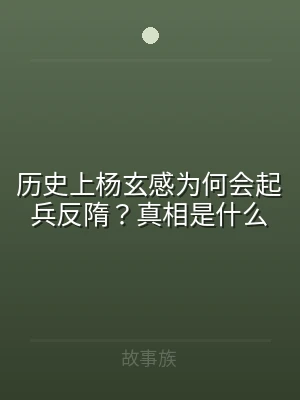 历史上杨玄感为何会起兵反隋？真相是什么