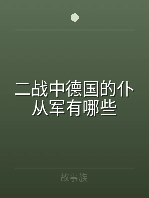 二战中德国的仆从军有哪些