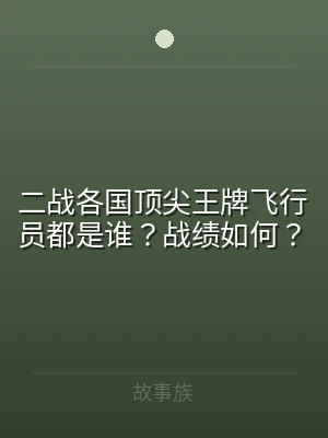 二战各国顶尖王牌飞行员都是谁？战绩如何？