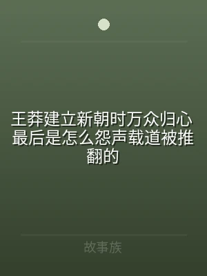王莽建立新朝时万众归心 最后是怎么怨声载