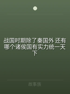 战国时期除了秦国外 还有哪个诸侯国有实力