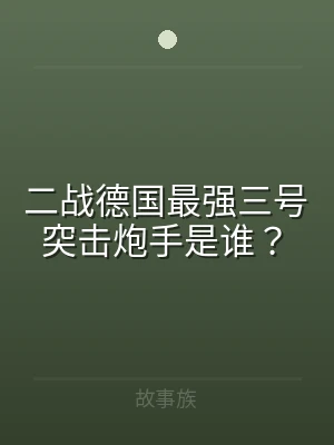 二战德国最强三号突击炮手是谁？