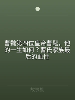 曹魏第四位皇帝曹髦，他的一生如何？曹氏家