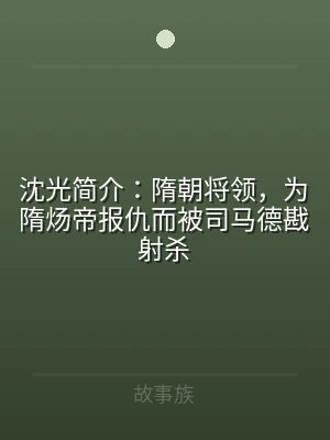 沈光简介：隋朝将领，为隋炀帝报仇而被司马