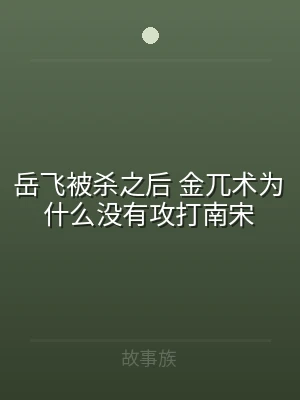 岳飞被杀之后 金兀术为什么没有攻打南宋
