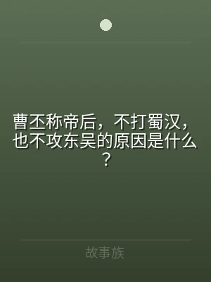 曹丕称帝后，不打蜀汉，也不攻东吴的原因是