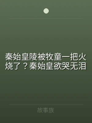 秦始皇陵被牧童一把火烧了？秦始皇欲哭无泪