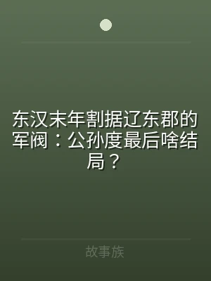 东汉末年割据辽东郡的军阀：公孙度最后啥结