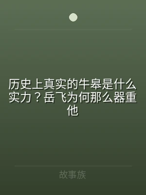 历史上真实的牛皋是什么实力？岳飞为何那么