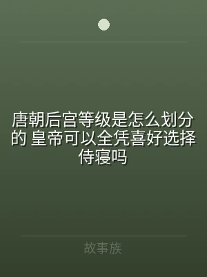唐朝后宫等级是怎么划分的 皇帝可以全凭喜