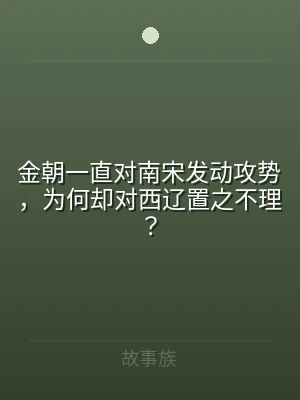 金朝一直对南宋发动攻势，为何却对西辽置之