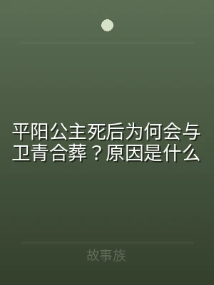 平阳公主死后为何会与卫青合葬？原因是什么
