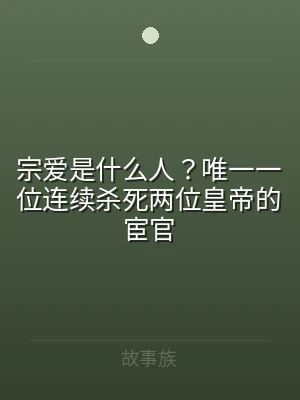 宗爱是什么人？唯一一位连续杀死两位皇帝的