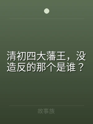 清初四大藩王，没造反的那个是谁？