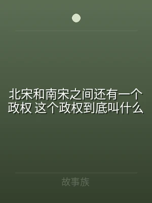 北宋和南宋之间还有一个政权 这个政权到底
