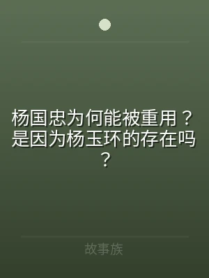 杨国忠为何能被重用？是因为杨玉环的存在吗