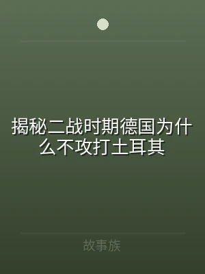 揭秘二战时期德国为什么不攻打土耳其