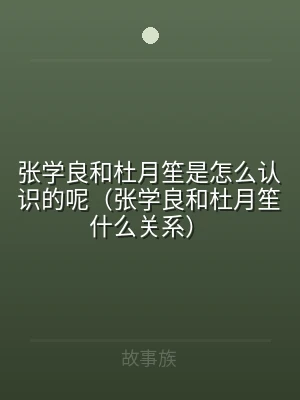 张学良和杜月笙是怎么认识的呢（张学良和杜