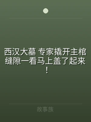 西汉大墓 专家撬开主棺缝隙一看马上盖了起