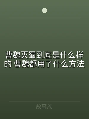 曹魏灭蜀到底是什么样的 曹魏都用了什么方