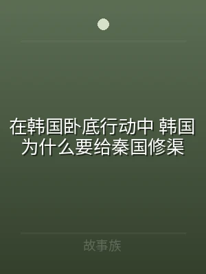 在韩国卧底行动中 韩国为什么要给秦国修渠