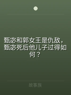 甄宓和郭女王是仇敌，甄宓死后他儿子过得如