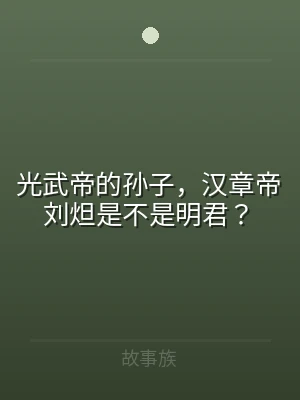 光武帝的孙子，汉章帝刘炟是不是明君？