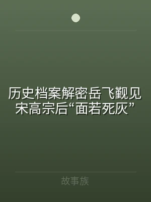 历史档案解密岳飞觐见宋高宗后“面若死灰”