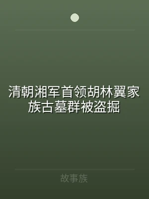 清朝湘军首领胡林翼家族古墓群被盗掘