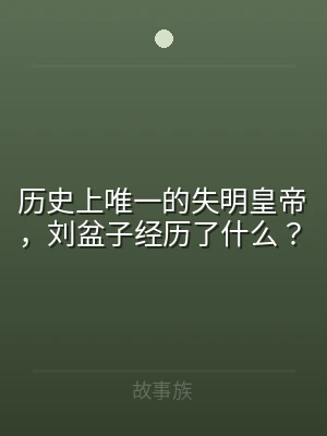 历史上唯一的失明皇帝，刘盆子经历了什么？