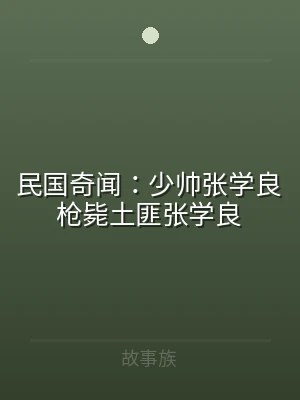 民国奇闻：少帅张学良枪毙土匪张学良