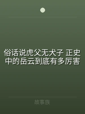 俗话说虎父无犬子 正史中的岳云到底有多厉