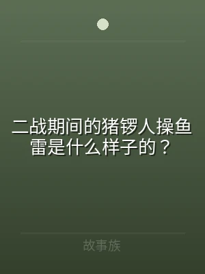 二战期间的猪锣人操鱼雷是什么样子的？