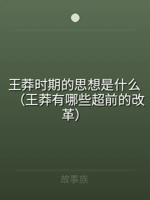 王莽时期的思想是什么（王莽有哪些超前的改