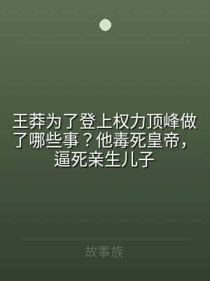 王莽为了登上权力顶峰做了哪些事？他毒死皇