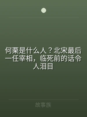 何栗是什么人？北宋最后一任宰相，临死前的