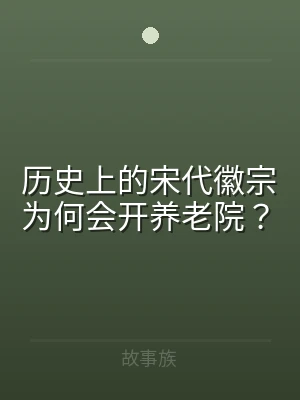 历史上的宋代徽宗为何会开养老院？