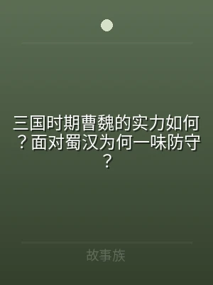 三国时期曹魏的实力如何？面对蜀汉为何一味