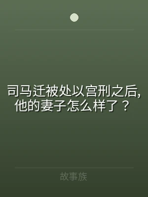 司马迁被处以宫刑之后,他的妻子怎么样了？