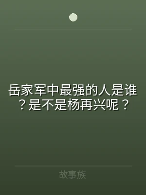 岳家军中最强的人是谁？是不是杨再兴呢？