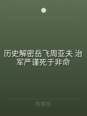 历史解密岳飞周亚夫 治军严谨死于非命