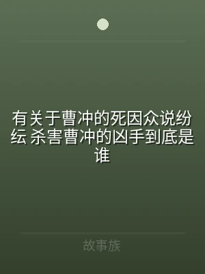 有关于曹冲的死因众说纷纭 杀害曹冲的凶手