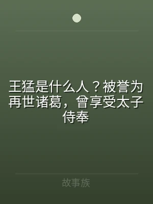 王猛是什么人？被誉为再世诸葛，曾享受太子