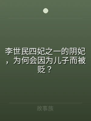 李世民四妃之一的阴妃，为何会因为儿子而被