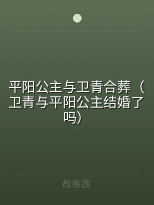 平阳公主与卫青合葬（卫青与平阳公主结婚了