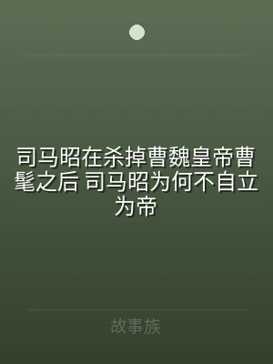 司马昭在杀掉曹魏皇帝曹髦之后 司马昭为何
