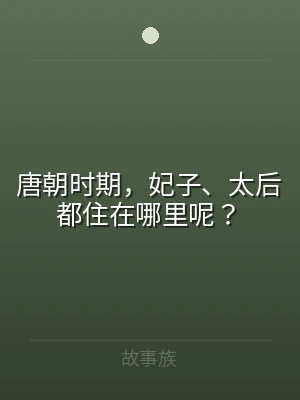 唐朝时期，妃子、太后都住在哪里呢？