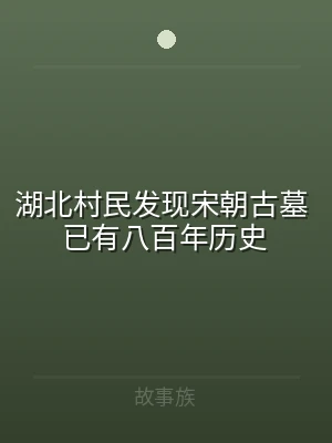 湖北村民发现宋朝古墓 已有八百年历史
