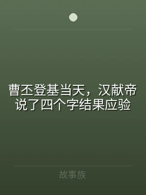 曹丕登基当天，汉献帝说了四个字结果应验