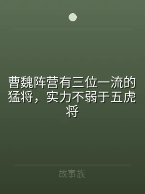 曹魏阵营有三位一流的猛将，实力不弱于五虎